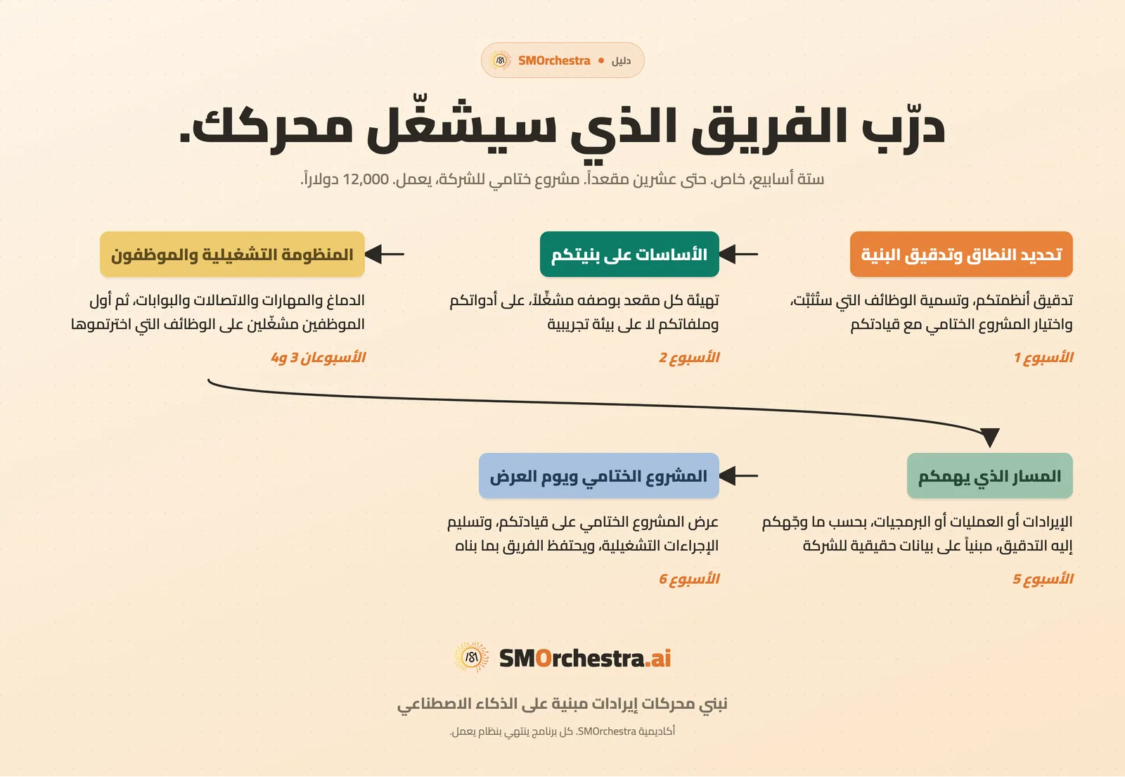 الأسابيع الستة في برنامج الشركات، من تدقيق البنية إلى مشروع ختامي يُعرض على قيادتكم